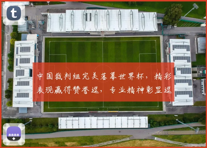 中国裁判组完美落幕世界杯，精彩表现赢得赞誉逗，专业精神彰显逗足球魅力