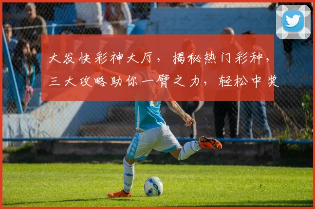 大发快彩神大厅，揭秘热门彩种，三大攻略助你一臂之力，轻松中奖