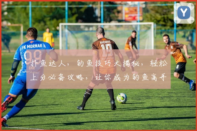 扑鱼达人，钓鱼技巧大揭秘，轻松上分必备攻略，让你成为钓鱼高手，逗逗鱼友必看