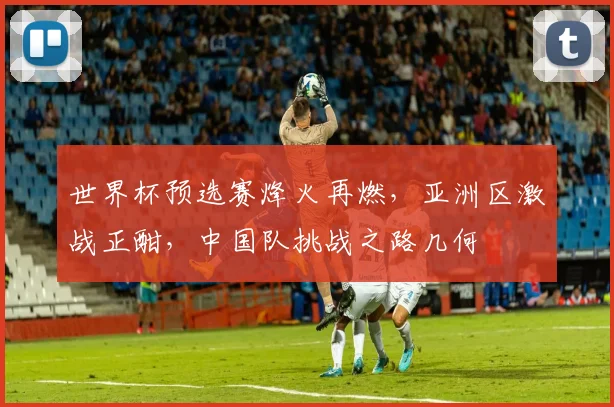 世界杯预选赛烽火再燃，亚洲区激战正酣，中国队挑战之路几何
